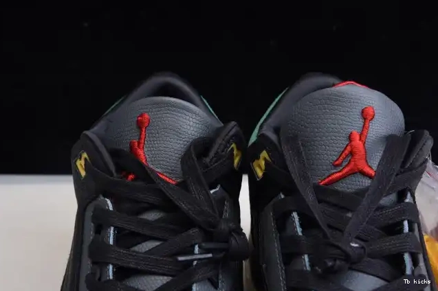 Reps TBK 2.0 Animal Air Retro Jordan - Instinct SE CV3583-003 3 0427